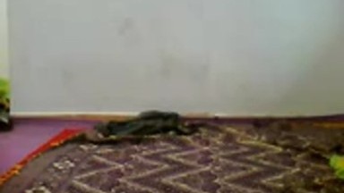 Anak_SMK_YAPMI_Makassar.mp4
