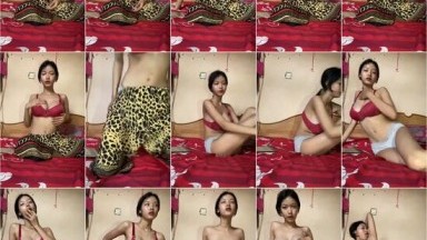Bokep Indo ZP231